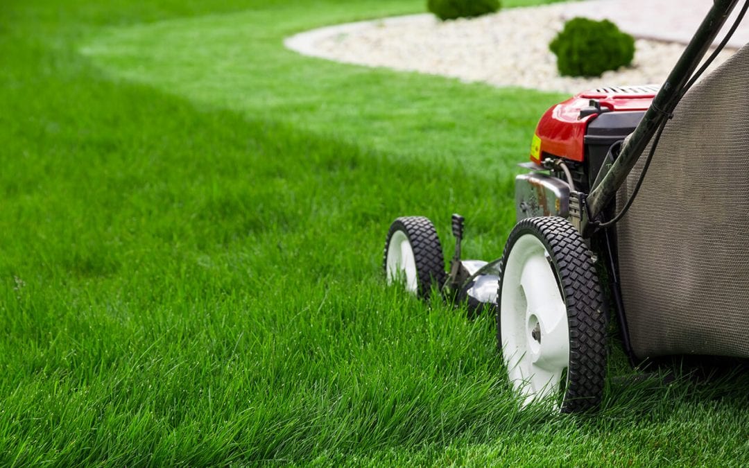 prepare your home for vacation by moving the lawn